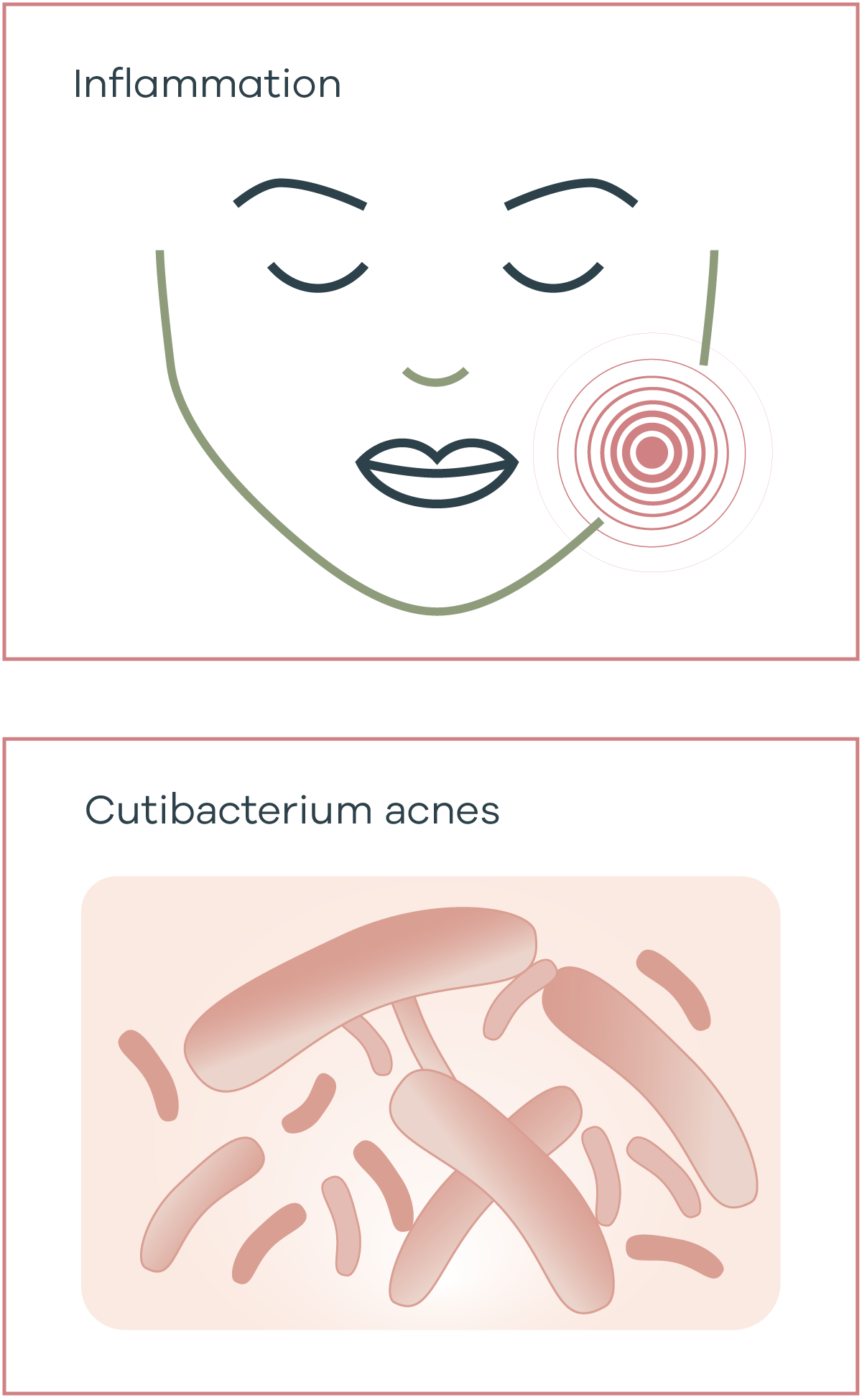 Is Your Acne Caused By Phentermine? Find Out Now! - k9me49x