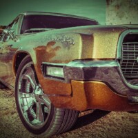 #image_title Muscle Car ALT