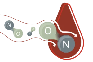 Abstract illustration of a nitrogen- and oxygen-containing molecule being processed in the stomach, with arrows showing the reaction.