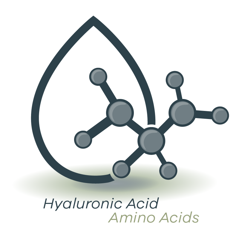 Hyaluronic acid and amino acid illustration skin booster