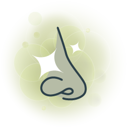 rhinophyma treatment icon